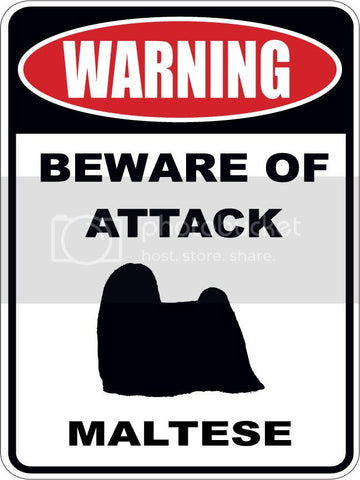 Warning Beware of ATTACK    MALTESE  dog lover 9"x12" aluminum novelty parking sign.