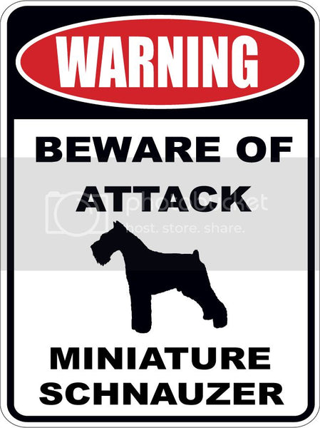 Warning Beware of ATTACK    MINIATURE SCHNAUZER  dog lover 9"x12" aluminum novelty parking sign.