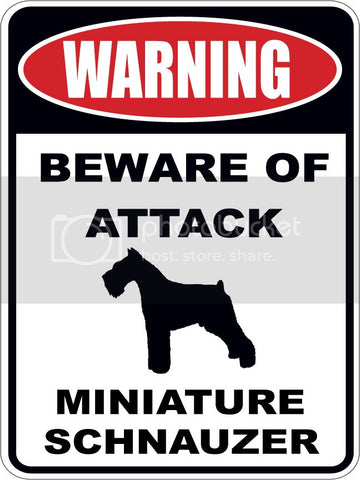 Warning Beware of ATTACK    MINIATURE SCHNAUZER  dog lover 9"x12" aluminum novelty parking sign.