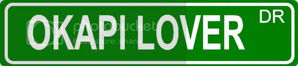 OKAPI LOVER Green 4" x 18" ALUMINUM animal novelty street sign great for indoor or outdoor long term use.