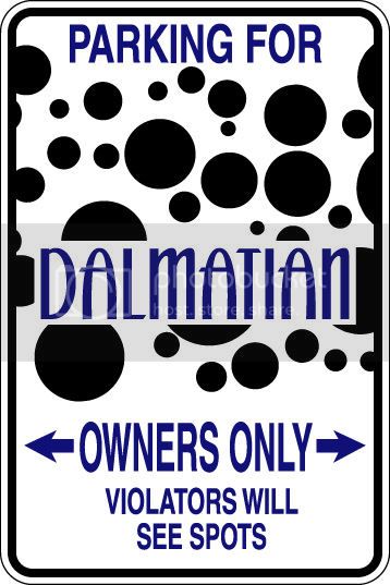 9"x12" Aluminum  dalmation see spots  funny  parking sign for indoors or outdoors
