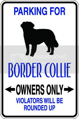 9"x12" Aluminum  border collie dog owner  funny  parking sign for indoors or outdoors