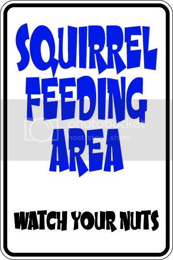 9"x12" Aluminum  squirrel feeding area  funny  parking sign for indoors or outdoors