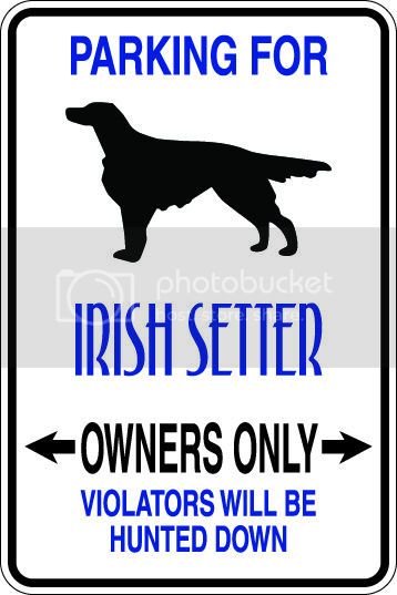 9"x12" Aluminum  irish setter dog owner  funny  parking sign for indoors or outdoors