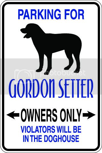 9"x12" Aluminum  gordon setter dog owner   funny  parking sign for indoors or outdoors