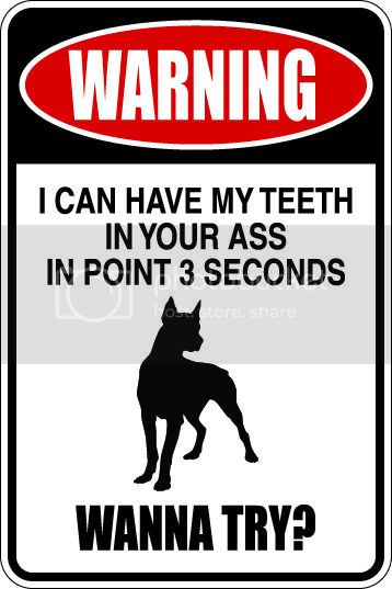 9"x12" Aluminum warning doberman dog can have teeth in you in point 3 seconds funny  parking sign for indoors or outdoors