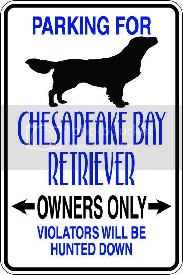 9"x12" Aluminum  chesapeake bay retriever dog owner  funny  parking sign for indoors or outdoors