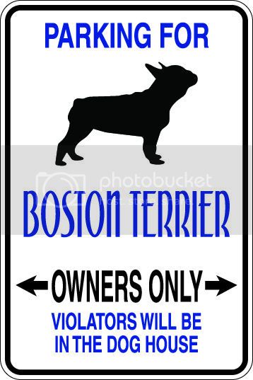 9"x12" Aluminum  boston terrier  funny  parking sign for indoors or outdoors