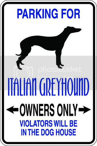 9"x12" Aluminum  italian greyhound dog owner  funny  parking sign for indoors or outdoors