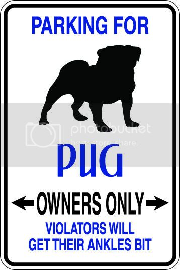 9"x12" Aluminum  pug dog owner   funny  parking sign for indoors or outdoors