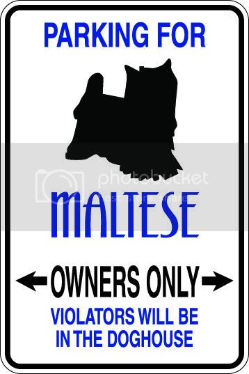 9"x12" Aluminum  maltese dog owner  funny  parking sign for indoors or outdoors