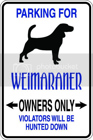 9"x12" Aluminum  weimaraner owner  funny  parking sign for indoors or outdoors