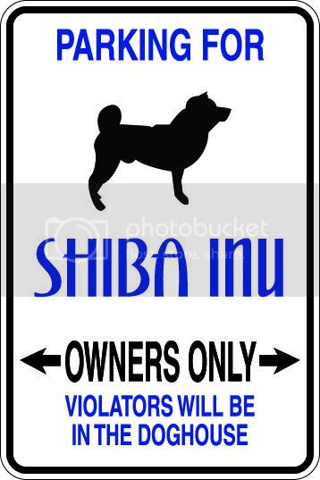 9"x12" Aluminum shiba inu  funny  parking sign for indoors or outdoors
